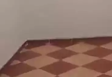 Apartments For rent - 3 rooms - floor 5