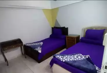 Furnished Apartment For rent - 2 rooms - floor 2