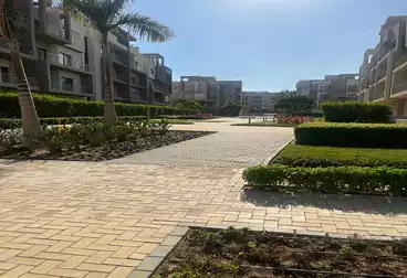 شقق للبيع - 3 غرف - بالدور 3