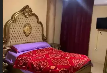 شقق مفروشة للإيجار - 3 غرف - بالدور 6