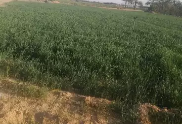 Farm For sale