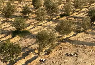 أرض زراعية للبيع