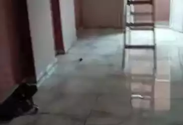 Apartments For rent - 2 rooms - floor 3