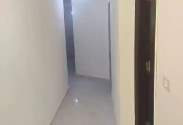 Apartments For rent - 3 rooms - floor 1