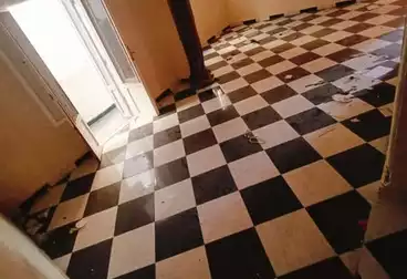 Apartments For sale - 2 rooms - floor 1
