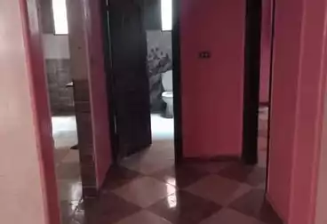 Apartments For rent - 3 rooms - floor 3
