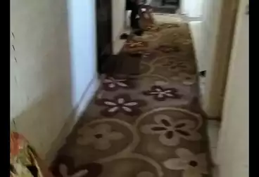 Apartments For sale - 2 rooms - floor 4
