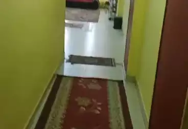 شقق للإيجار - 3 غرف - بالدور 14