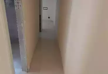 Apartments For rent - 2 rooms - floor 6