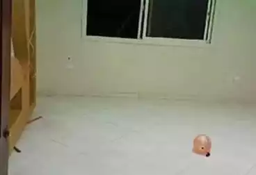 Apartments For rent - 3 rooms - floor 11