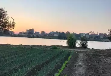 عقارات للبيع