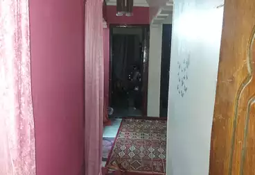 Apartments For sale - 3 rooms - floor 1