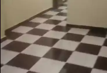 undefined undefined - 2 rooms - floor 11