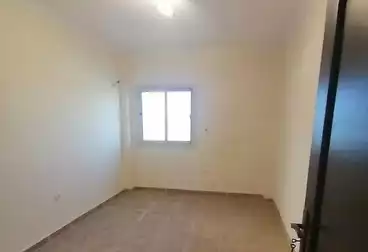 شقق للبيع - 3 غرف - بالدور 0
