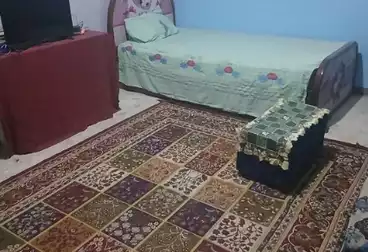 شقق مفروشة للإيجار - 6 غرف - بالدور 1