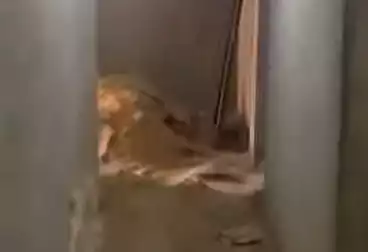 undefined undefined - 2 rooms - floor 2