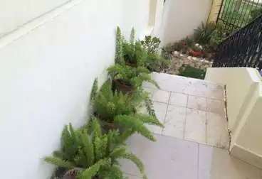 شقق للبيع - 2 غرف - بالدور 0