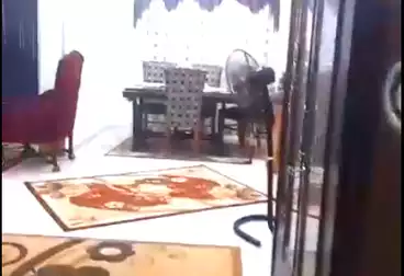 Apartments For sale - 2 rooms - floor 1