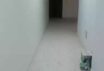 Apartments For rent - 3 rooms - floor 0