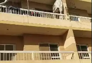 Apartments For sale - 2 rooms - floor 0