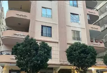 شقق للبيع - 3 غرف - بالدور 0