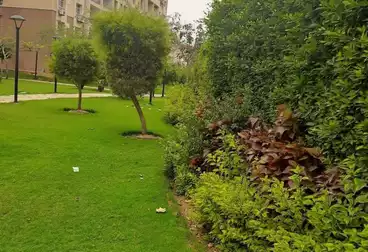 Apartments For rent - 2 rooms - floor 0