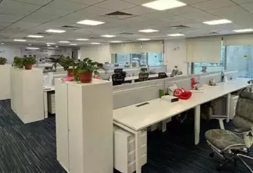 Offices For rent - 10 rooms - floor 6