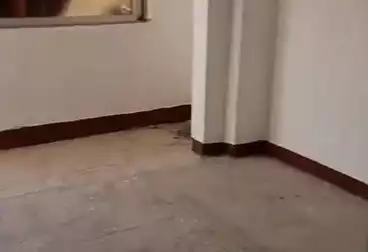 undefined undefined - 2 rooms - floor 2