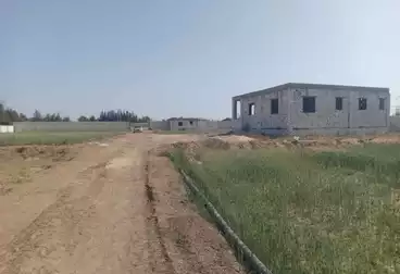 أرض زراعية للبيع