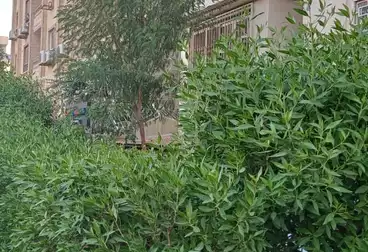 Apartments For sale - 2 rooms - floor 0