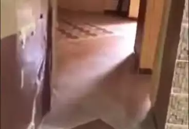 Apartments For sale - 4 rooms - floor 1