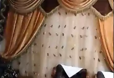 عقارات للبيع - 2 غرف - بالدور 1