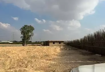 Farm For sale
