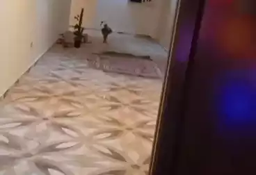 شقق للبيع - 3 غرف - بالدور 3