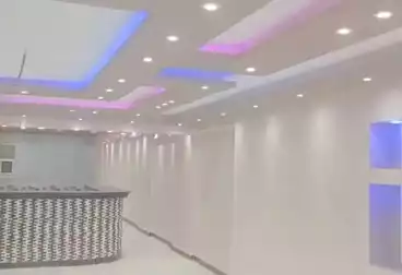 Properties For rent - 4 rooms - floor 7