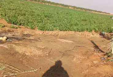 أرض زراعية للبيع