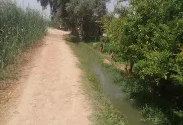 أرض زراعية للبيع
