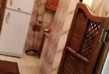 Properties For rent - 1 rooms - floor 0