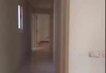 Apartments For rent - 3 rooms - floor 3