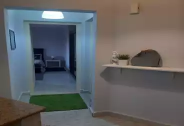 Apartments For rent - 1 rooms - floor 0