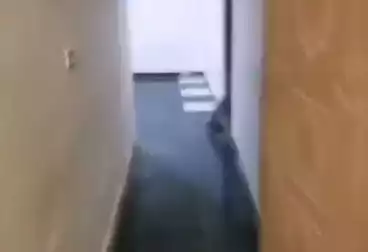 Apartments For rent - 2 rooms - floor 1