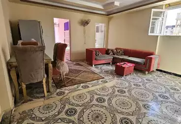 شقق مفروشة للبيع - 2 غرف - بالدور 13