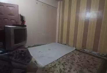 undefined undefined - 2 rooms - floor 0
