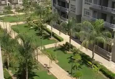 Apartments For rent - 3 rooms - floor 5