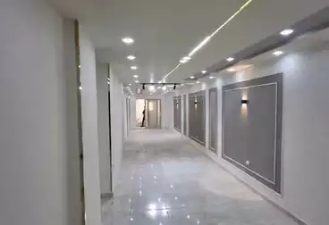 undefined undefined - 3 rooms - floor 11