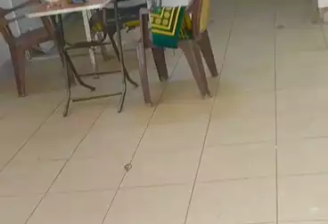 Commercial For sale - floor 1