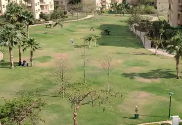 Apartments For rent - 3 rooms - floor 5