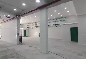 تجاري للإيجار - بالدور 0