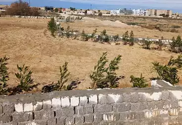 أراضي للبيع