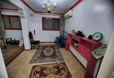 شقق مفروشة للإيجار - 2 غرف - بالدور 2